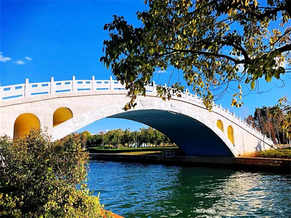 是時候去濕地公園轉轉了，水杉、白鷺、紅嘴鷗……多彩生物已上線！